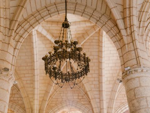 Image by Julia Volk- Pexels